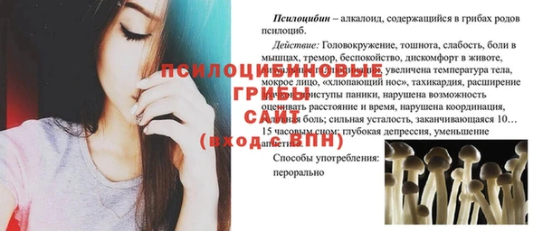 первитин Арсеньев