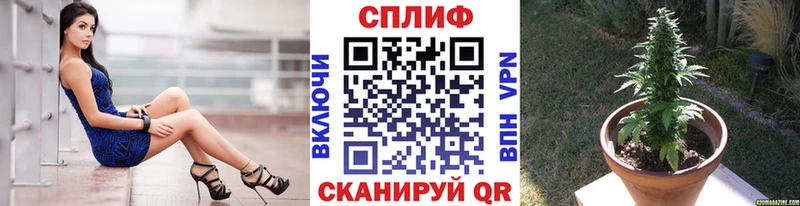 что такое   Спас-Клепики  Бошки Шишки ГИДРОПОН 